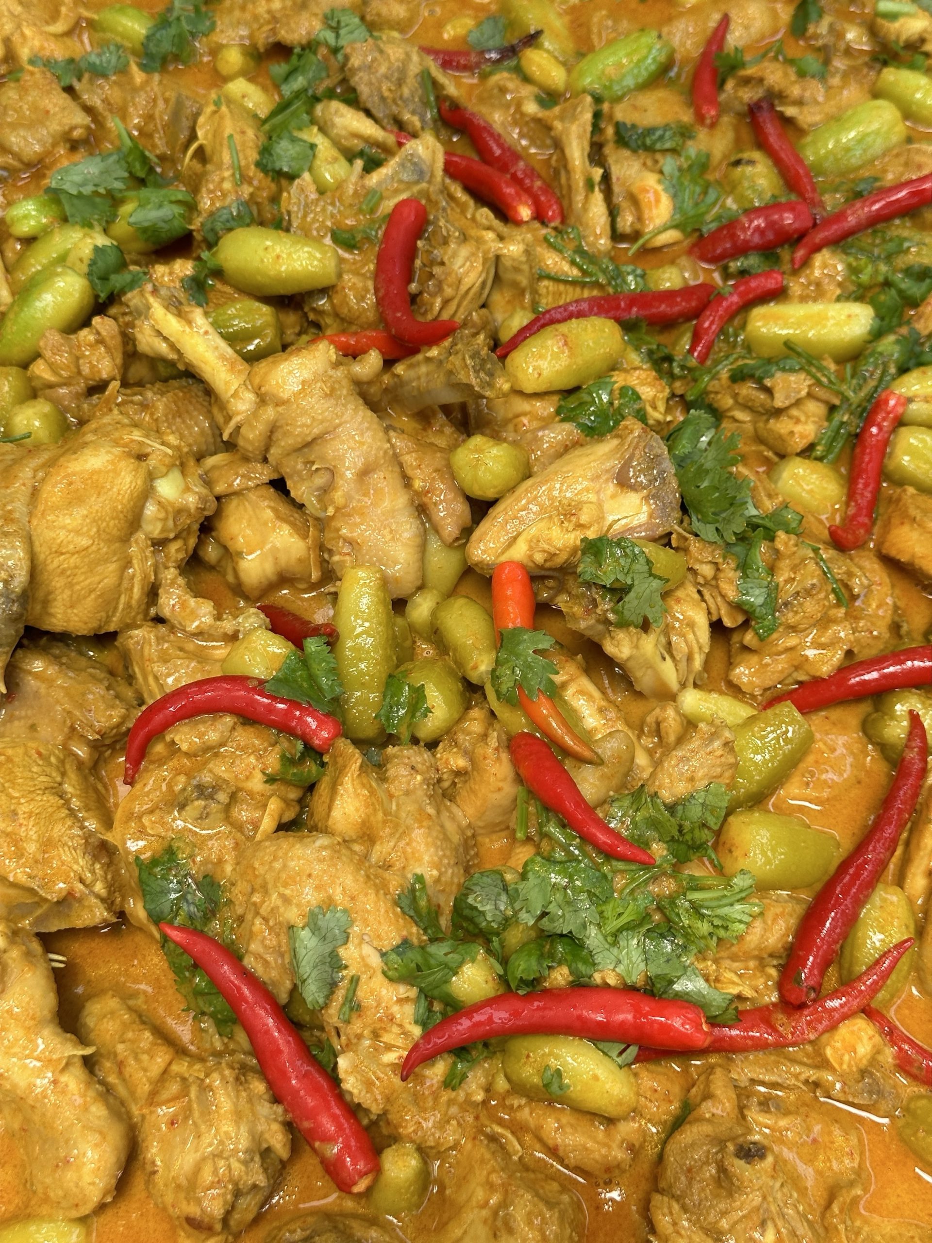 Ayam Gulai Padang belimbing